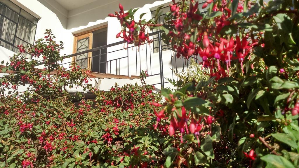 Posada Junco Y Capuli Huancayo Buitenkant foto